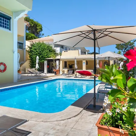 Mbird 19 101 * إستوريل