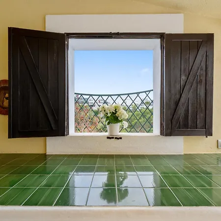 Mbird 19 101 إستوريل